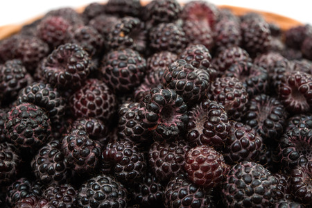black raspberries on a white background