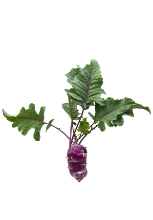 Cabbage kohlrabi on a white backgroundの写真素材