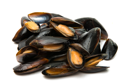 mussels isolated on white backgroundの写真素材