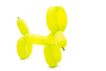dogs of balloons on a white backgroundの写真素材