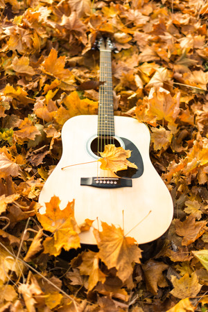 Guitar in nature on autumn leavesの写真素材