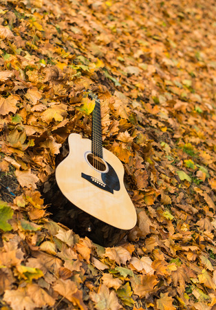 Guitar in nature on autumn leavesの写真素材