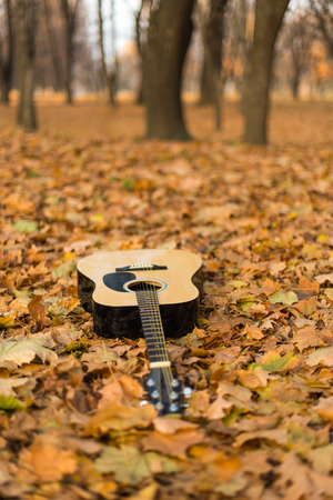 Guitar in nature on autumn leavesの写真素材