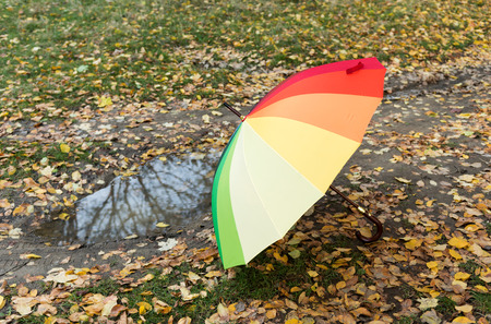 colored umbrella on autumn leaves in the parkの写真素材