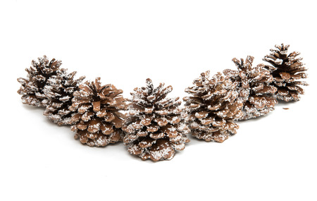Christmas cones on a white background