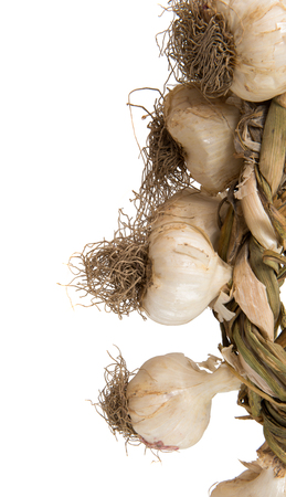 garlic on a white backgroundの写真素材