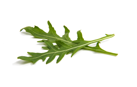 fresh rucola leaves isolated on whiteの写真素材