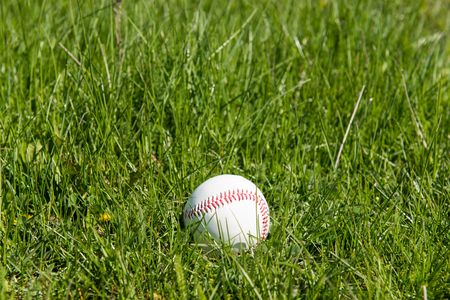 Baseball in green grassの写真素材