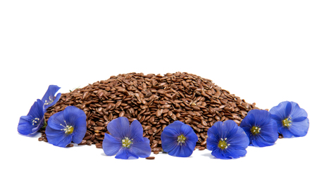 bllue flax flower with seeds isolated on white backgroundの写真素材