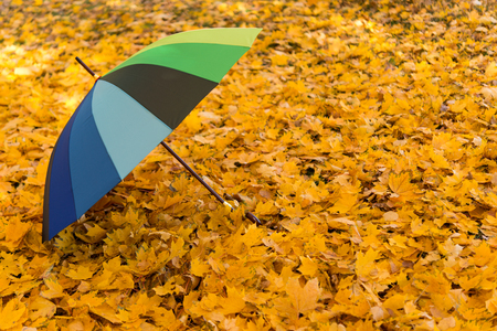 Colored umbrella on autumn leaves in a parkの写真素材