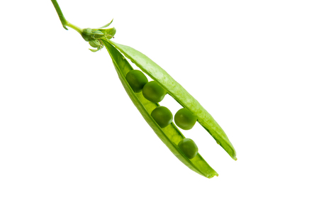 Green fresh peas isolated on white backgroundの写真素材