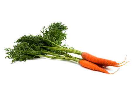 Carrots with leaves on white backgroundの写真素材