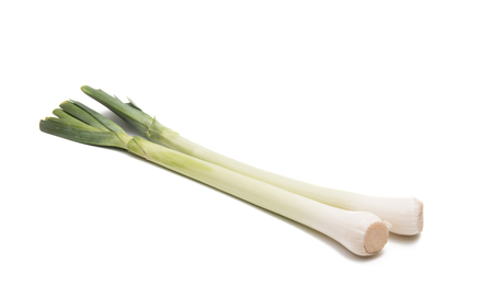 leek isolated on white backgroundの写真素材