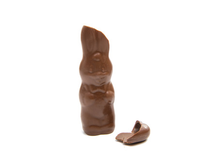 chocolate bunny isolated on white background