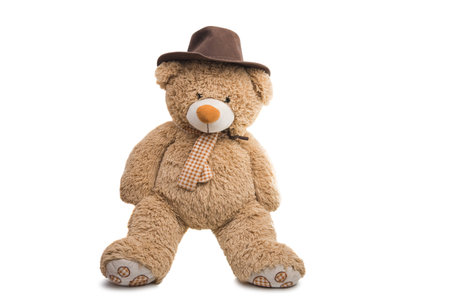 soft toy bear isolated on white backgroundの写真素材