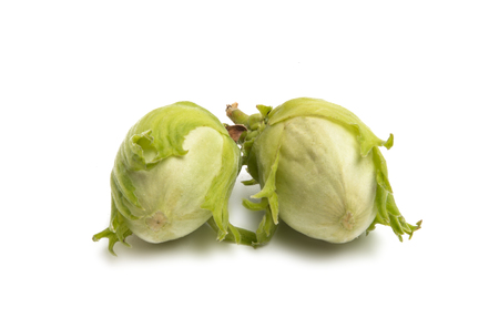 green hazelnut isolated on white backgroundの写真素材