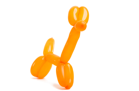 dog from a balloon isolated on a white backgroundの写真素材