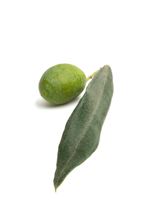 branch with green olives isolated on white backgroundの写真素材
