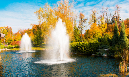 autumn landscape in a beautiful parkの写真素材