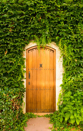 wooden doors in green lianasの写真素材