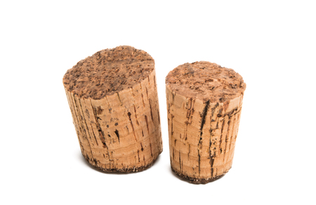 cork tree isolated on white backgroundの写真素材