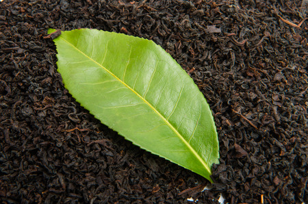 dry tea isolated on white backgroundの写真素材