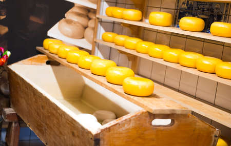 Dutch cheese on shelf in factory