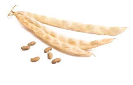dry bean pod isolated on white background
