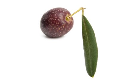 olives with leaves isolated on white backgroundの写真素材
