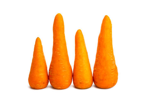 carrots isolated on white backgroundの写真素材