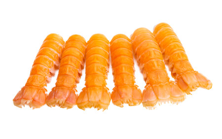 boiled lobster isolated on white backgroundの写真素材