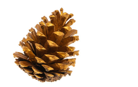 golden cone isolated on white backgroundの写真素材