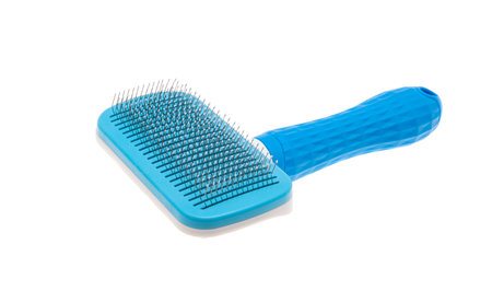 slicker for dogs isolated on white backgroundの写真素材