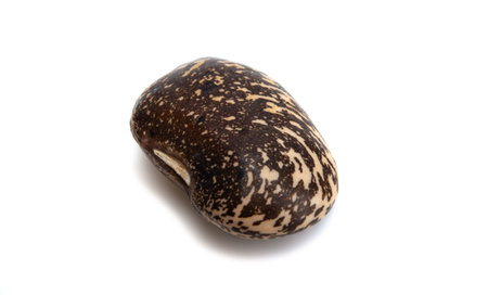 beans isolated on white background