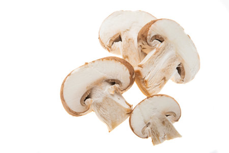 champignon mushrooms isolated on white backgroundの写真素材