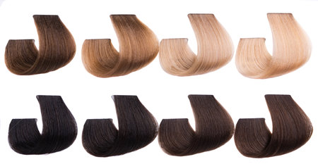 dyed curl of hair isolated on white backgroundの写真素材