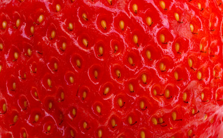 background of strawberries close-up macroの写真素材