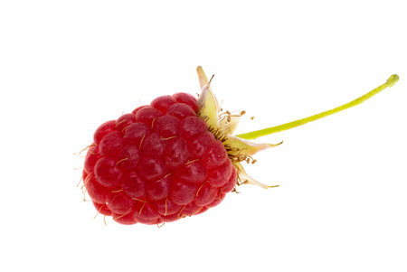 wild raspberry isolated on white backgroundの写真素材