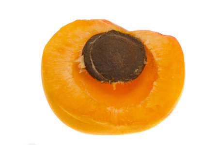 apricot isolated on white backgroundの写真素材