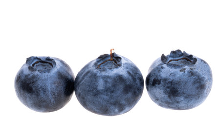 Blueberry isolated on white backgroundの写真素材