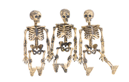 Skeleton isolated on white background
