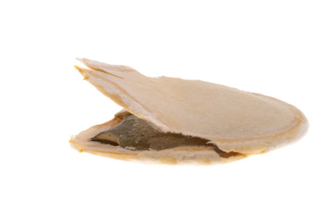 Pumpkin seeds isolated on white background
