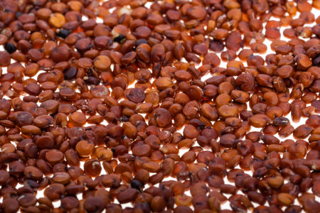 red quinoa isolated on white backgroundの写真素材