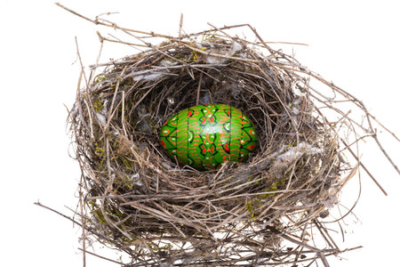 easter egg in bird's nest isolated on white backgroundの写真素材