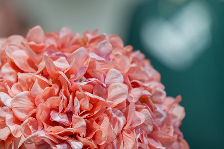 artificial hydrangea flowerの素材