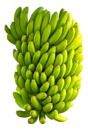 green banana isolated on white backgroundの素材