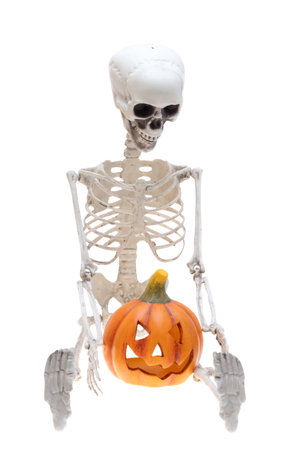 skeleton isolated on white backgroundの写真素材