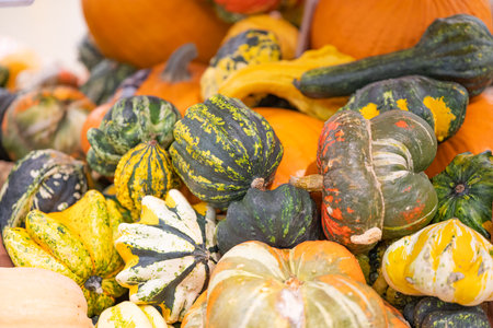 Halloween pumpkin in the store