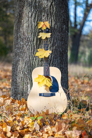 guitar in nature on a sunny day in autumn