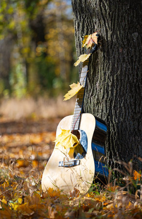 guitar in nature on a sunny day in autumnの写真素材